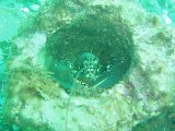 P1014810.JPG