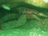 P8224837-cropped.jpg