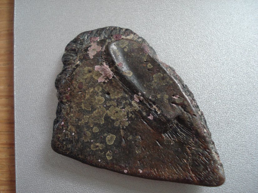 Fossil (back)...