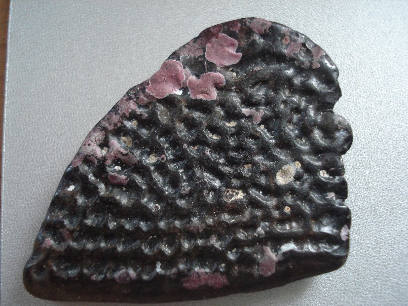 Fossil (front)...