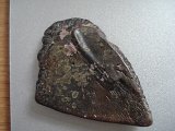 DSC01311.JPG