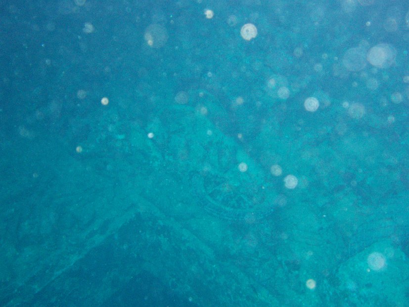 THistlegorm