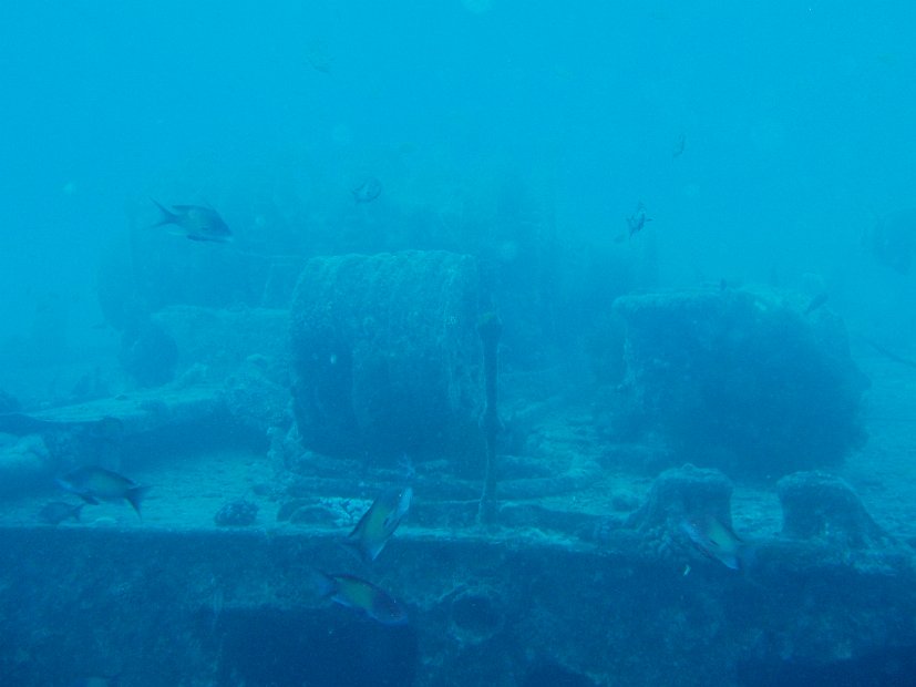 Thistlegorm