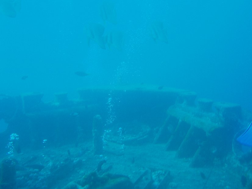 Thistlegorm