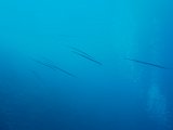 PB180128.JPG