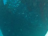 PB180131.JPG