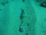 PC210478.JPG