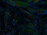 PC220520.JPG