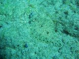 PC260778.JPG