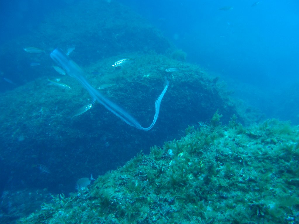 Blue Hole, Dwejra