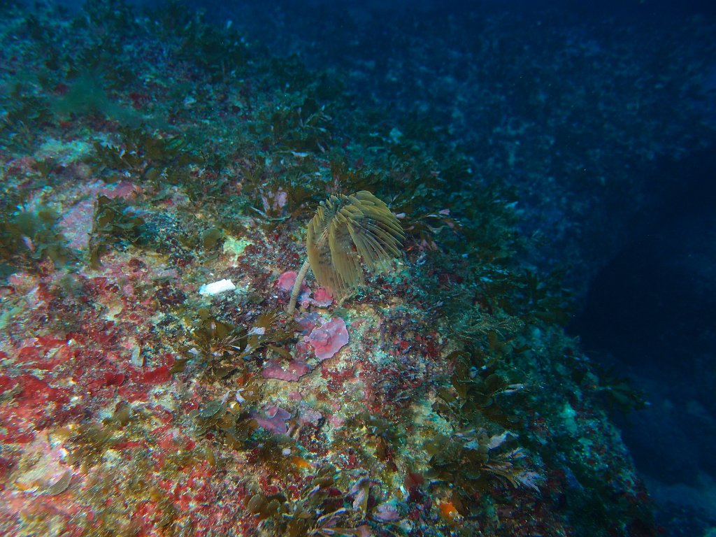 Blue Hole, Dwejra