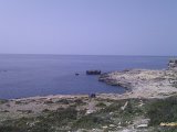 IMAG1049.jpg