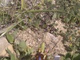 IMAG1070.jpg