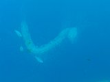 P4040683.JPG