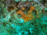P4050747.JPG