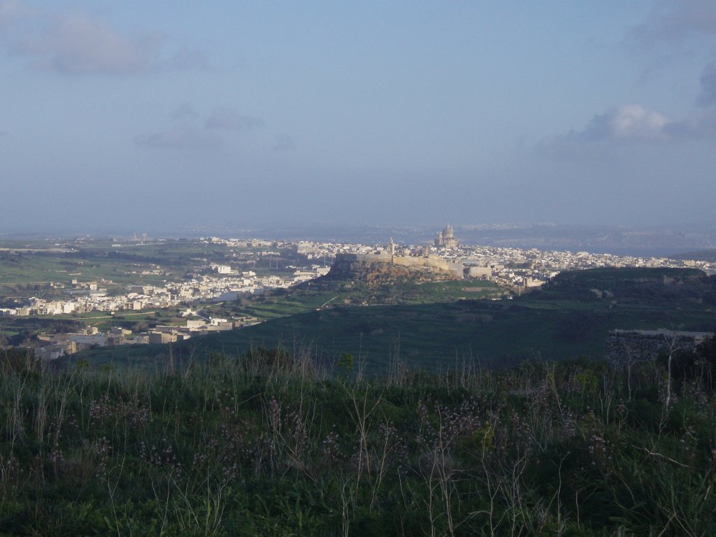 Citadel