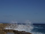 P3081091.JPG