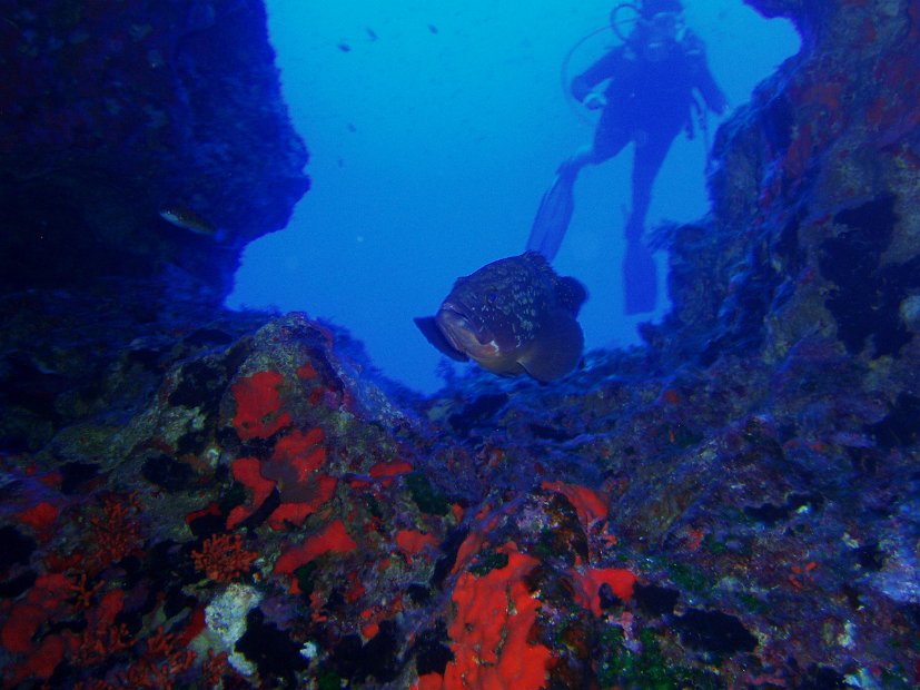 Blue Hole 