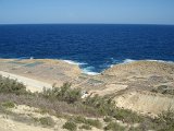 DSC01254.JPG