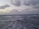 IMAG0135.jpg