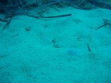P1015260.JPG