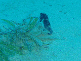 P1015272-cropped.png