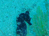 P1015276-cropped.png