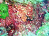 P9165071.JPG