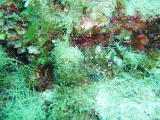P9205350-cropped.png