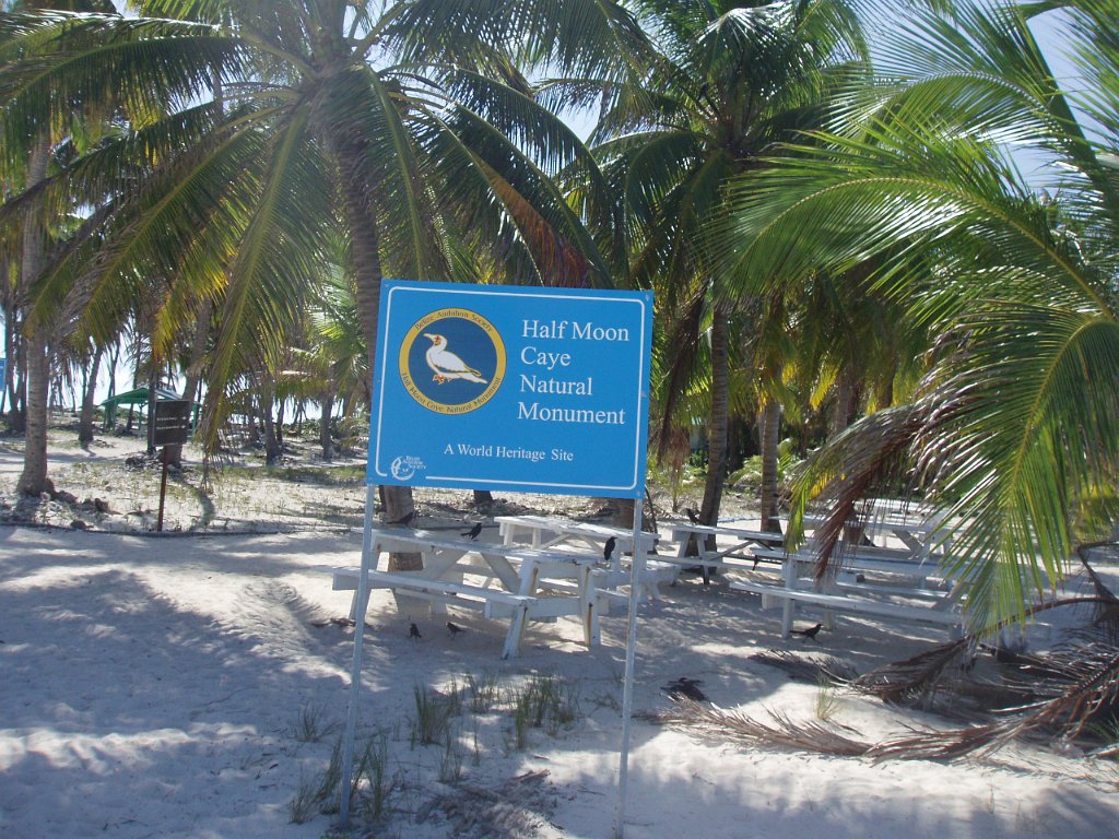Half Moon Caye