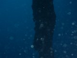 PC140858.JPG
