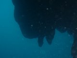 PC140859.JPG