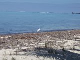 PC140879.JPG