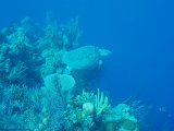 PC140905.JPG