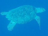 PC140906-cropped.jpg