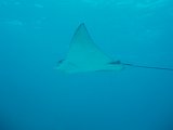PC150934.JPG