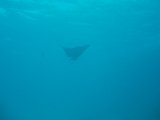 PC150945.JPG