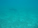 PC150961.JPG
