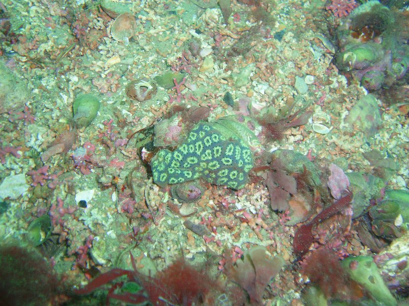 P8254885