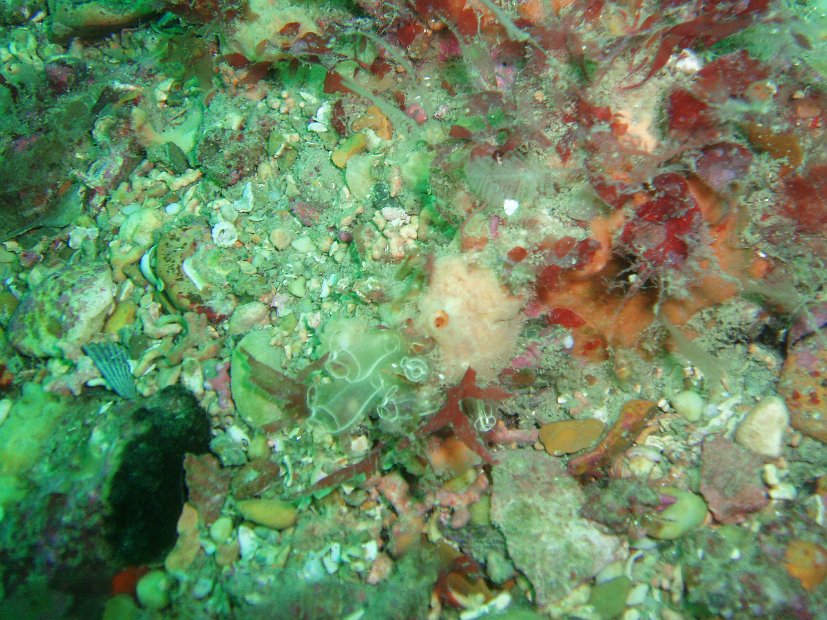 P8254914