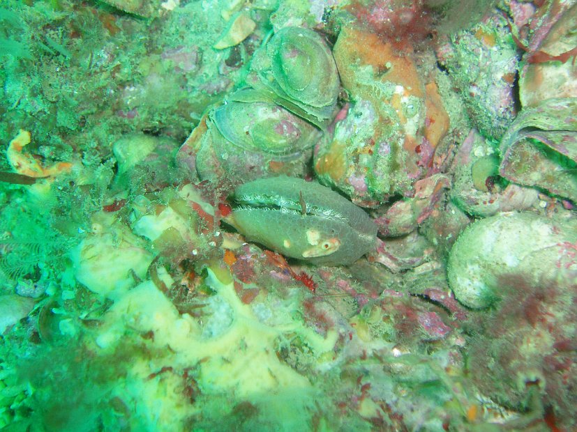 P8254946