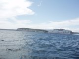 P8254950.JPG
