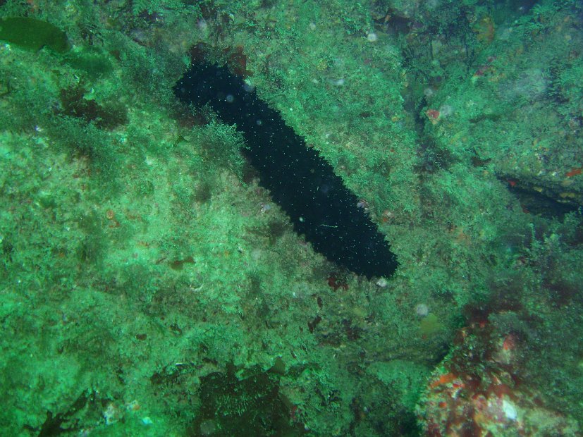 P1013751