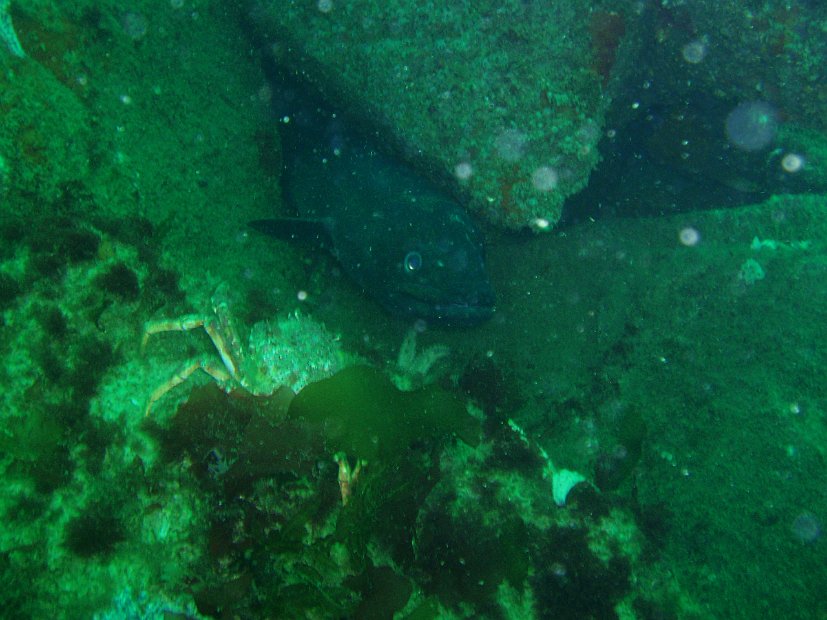 P1013758