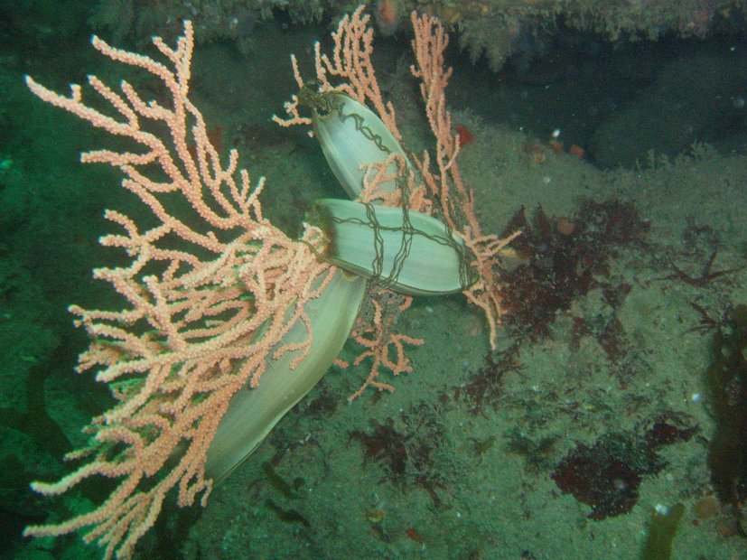 P1013847
