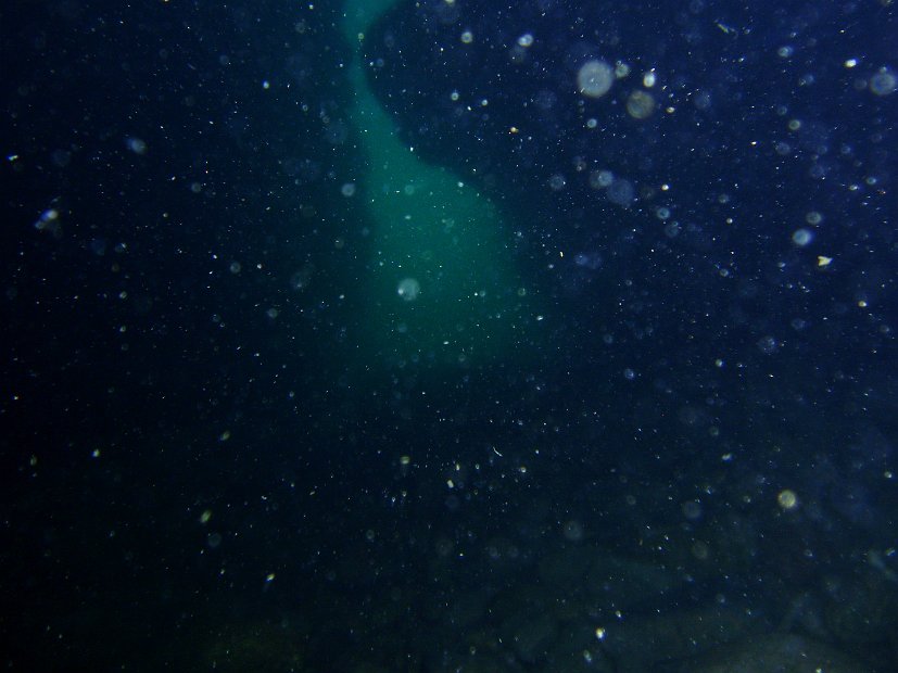 P1013867