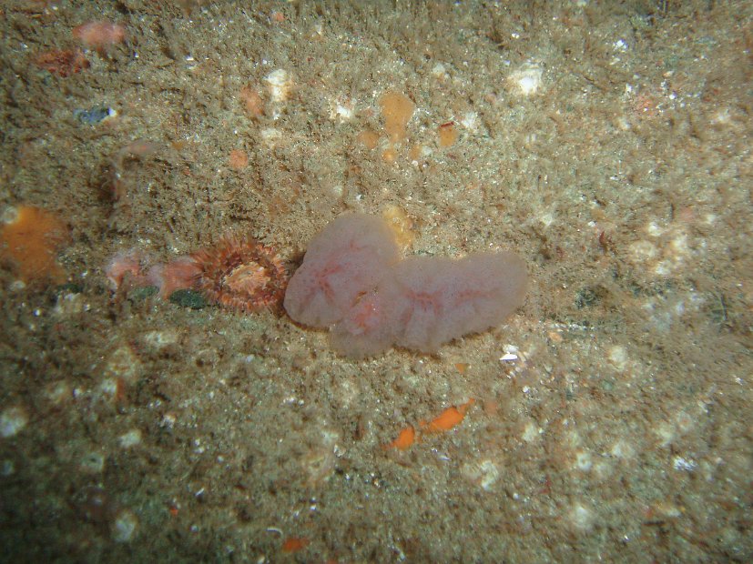 P1013876
