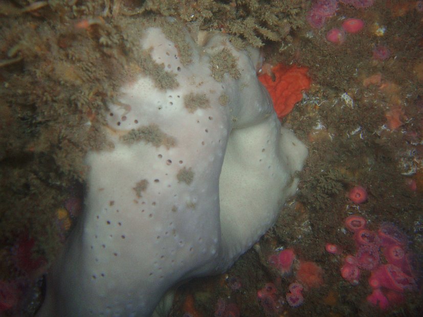 P1013929