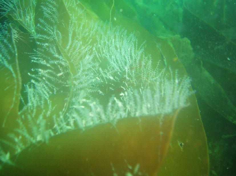 P1013962