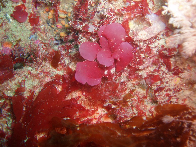 P1013968